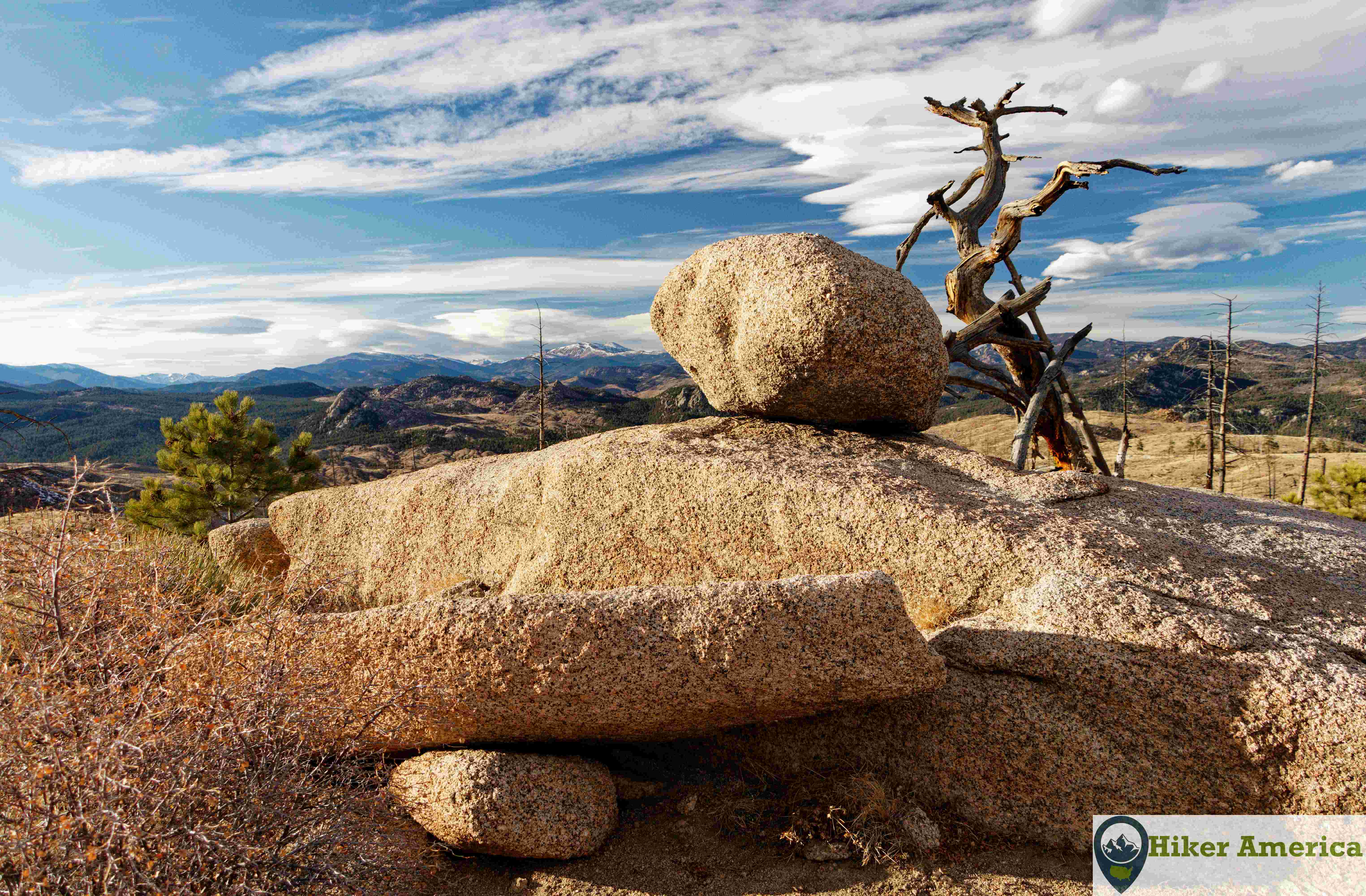 Tree and rock with views on the Buffalo Burn Trail.